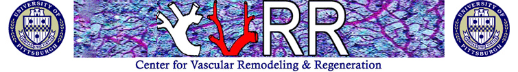 CVRR-Header