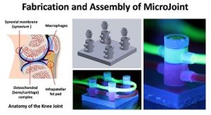 microjoint